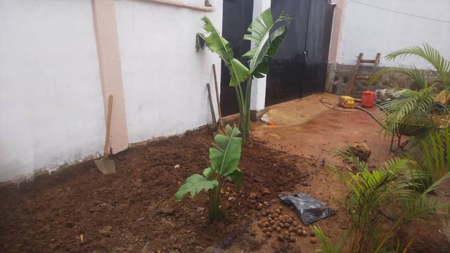 Farming, Food & Water – 13