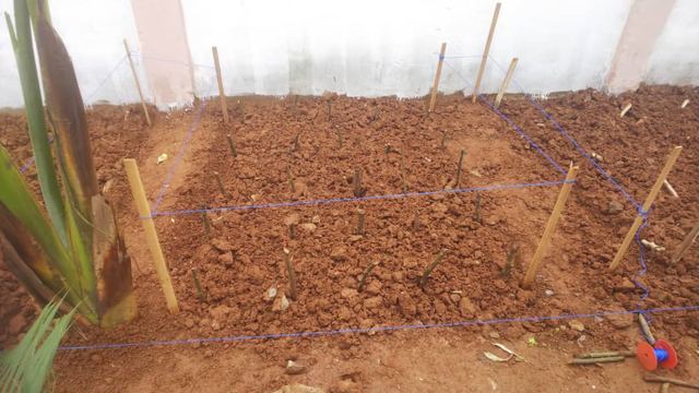Farming, Food & Water