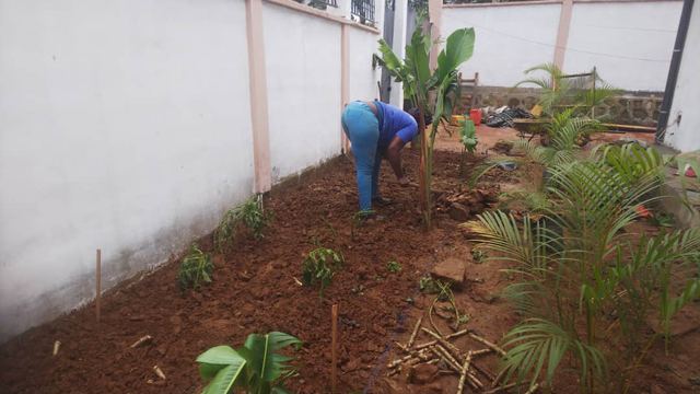 Farming, Food & Water – 15